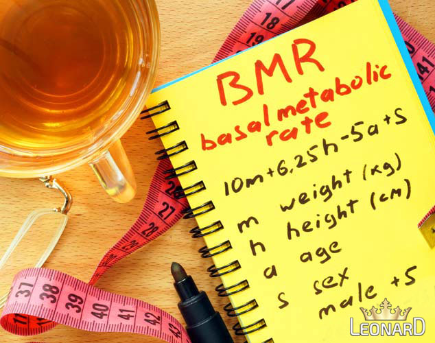 محاسبه BMR (میزان کالری مصرفی روزانه)